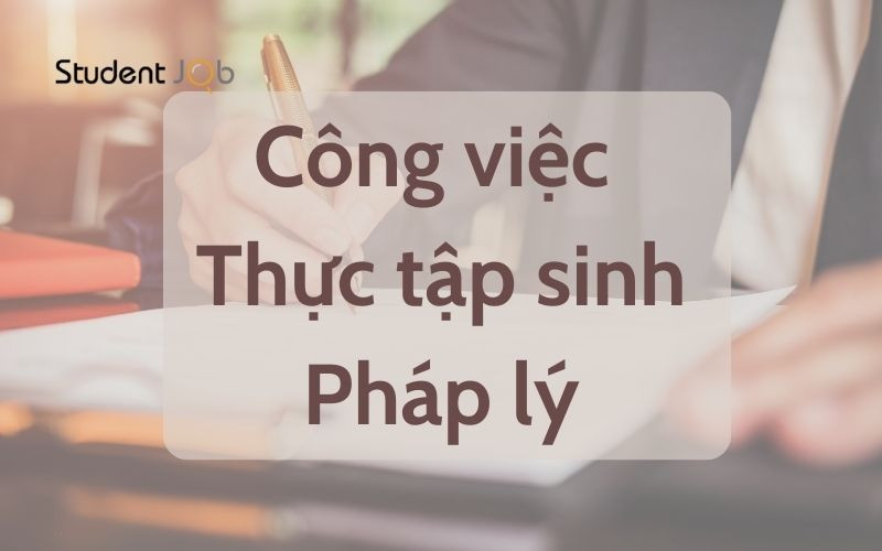 Mô tả thực tập sinh pháp lý