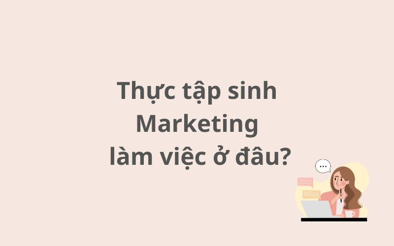 Thực tập sinh Marketing làm việc ở đâu