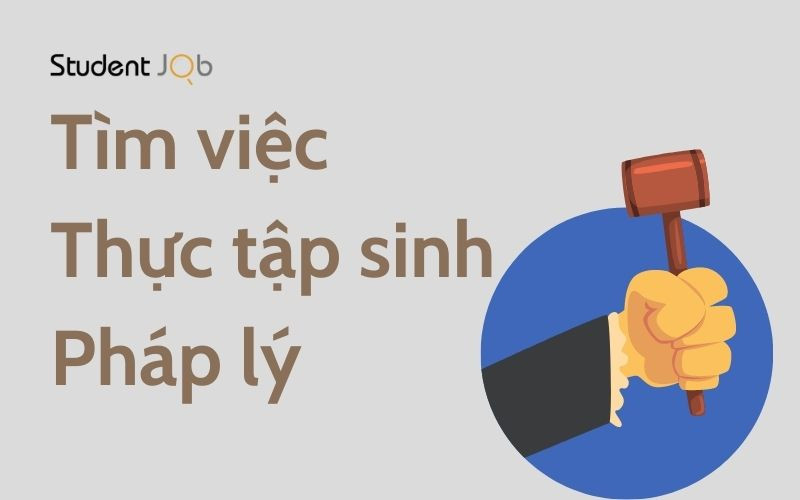 Tìm việc thực tập sinh pháp lý