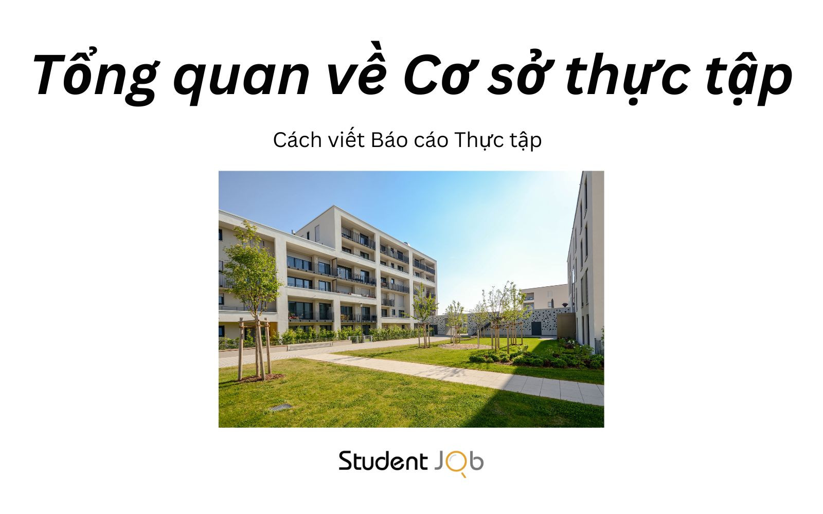 Tổng quan về cơ sở thực tập của Báo cáo thực tập