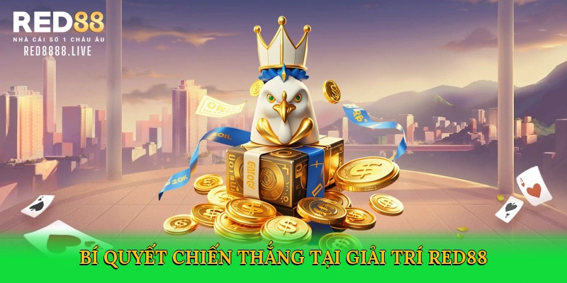 Đá Gà Trực Tiếp Ở Thomo – Cá Cược Kịch Tính Tại Red88