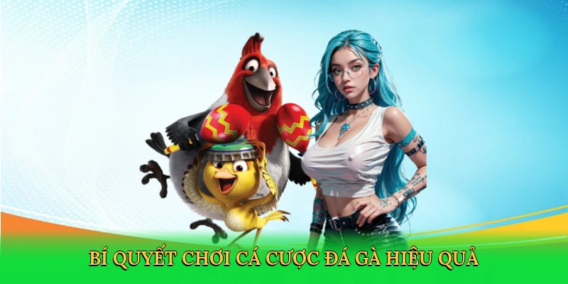 Đá Gà Trực Tiếp Thomo &#8211; Săn Thưởng Cùng K8CC