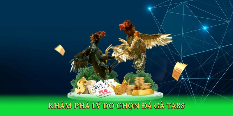 kham-pha-ly-do-chon-da-ga-ta88-3