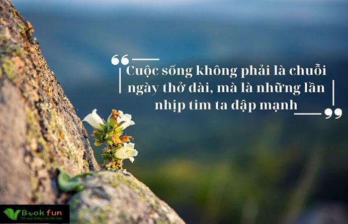 Top những câu nói truyền cảm hứng về thành công hay nhất cho cuộc sống