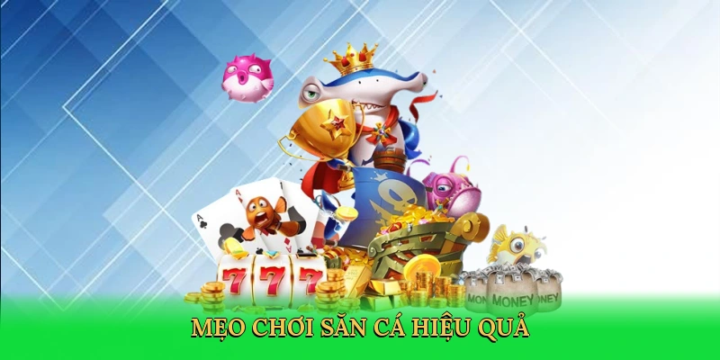 Mẹo chơi săn cá hiệu quả
