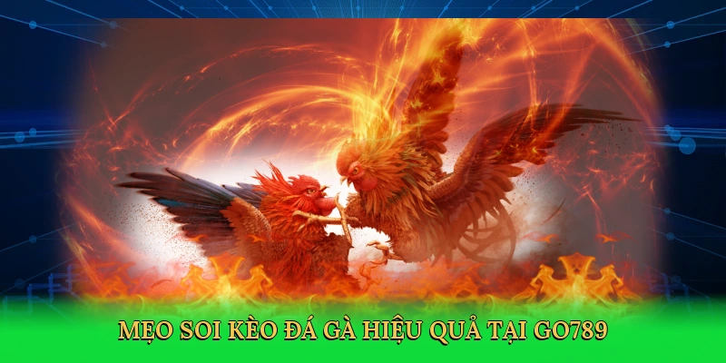 Sảnh Đá Gà WS168 – Bí Kíp Chinh Phục Cá Cược Đỉnh Cao Go789!