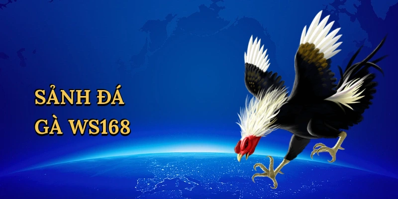 Sảnh Đá Gà WS168 – Bí Kíp Chinh Phục Cá Cược Đỉnh Cao Go789!