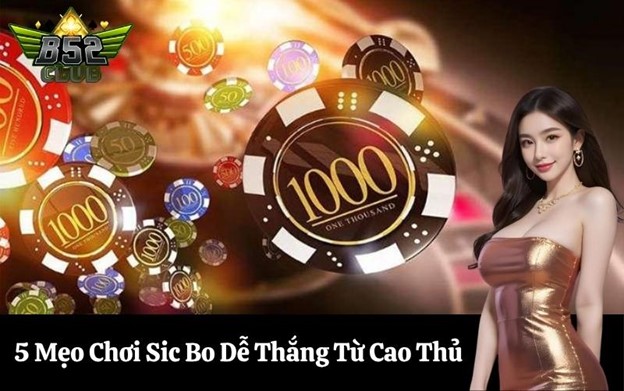5 Mẹo Chơi Sic Bo Dễ Thắng Từ Cao Thủ