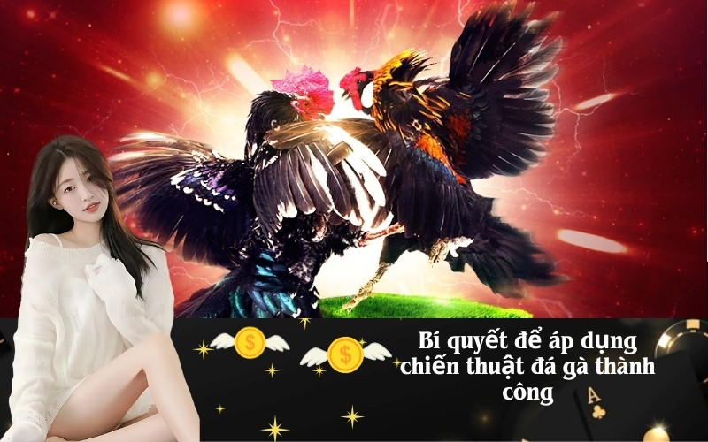 Bí quyết để áp dụng chiến thuật đá gà thành công