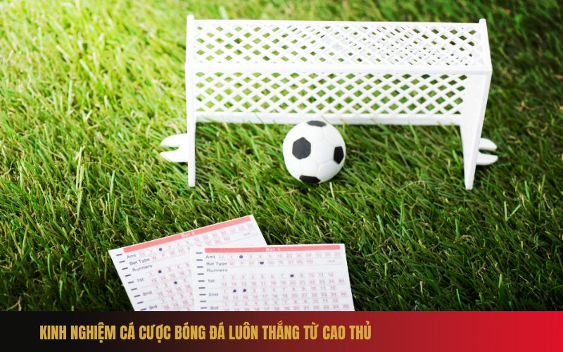 Hướng dẫn đặt cược bóng đá cho người mới tham gia