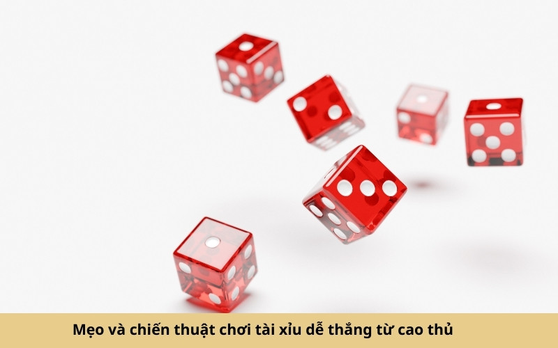 Cược tài xỉu là gì? Hướng dẫn chi tiết cho người mới chơi