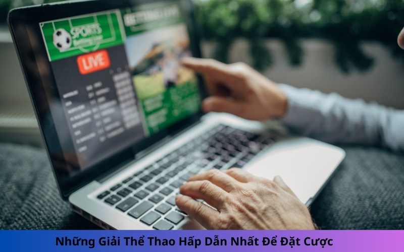 Những Giải Thể Thao Hấp Dẫn Nhất Để Đặt Cược